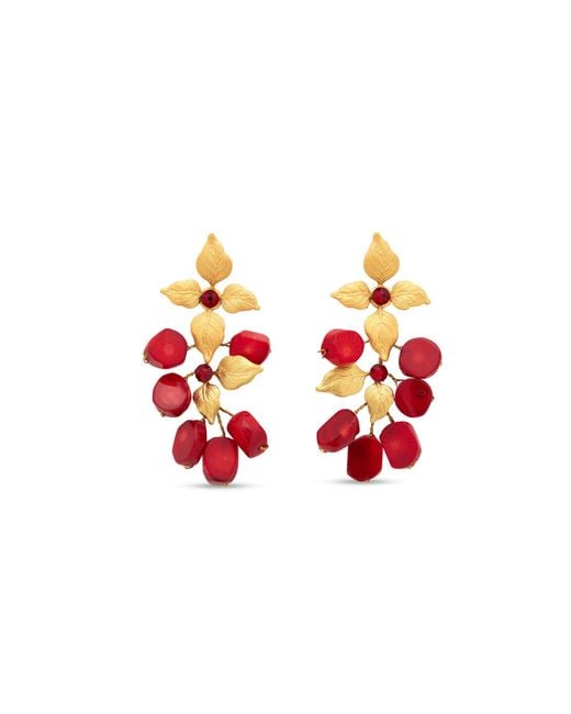 Stephanie Browne Australia Red Siam