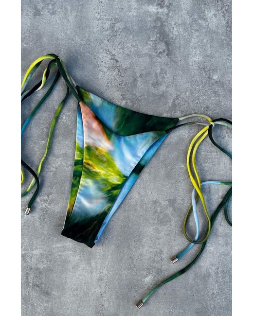 Animal Blue Watercolor Bikini Bottom