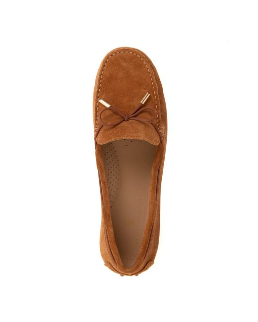 Franchetti Bond Brown Elodie Toasted Tan Suede