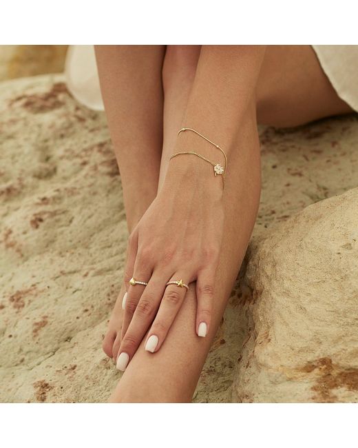 Spero London Metallic Clover Bracelet & Italian Bead Chain Bracelet Layering Set