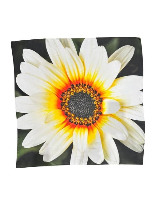 Lindsay Nicholas New York Metallic African Daisy Bloom Silk Scarf