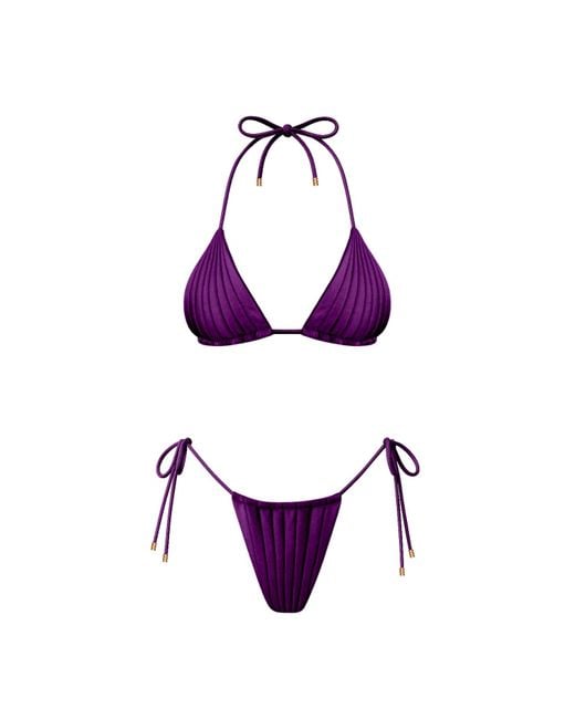 Animal Purple Ènigme Bikini Bottom