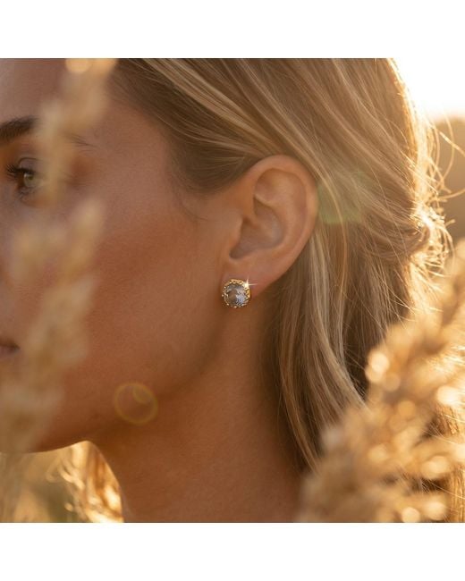 Native Gem Metallic Foundry Studs Georgian Collet Stud Earrings- Alexandrite