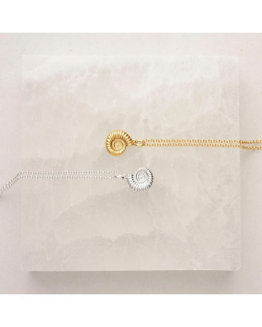 Nellou Jewellery White Ammonite Necklace Sterling