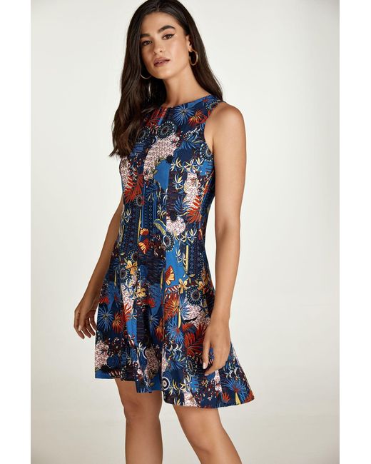 Conquista Blue Flora Print Cloche Dress