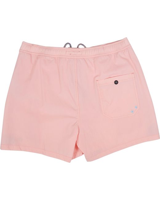Lords of Harlech Pink Quack Swim Short for men