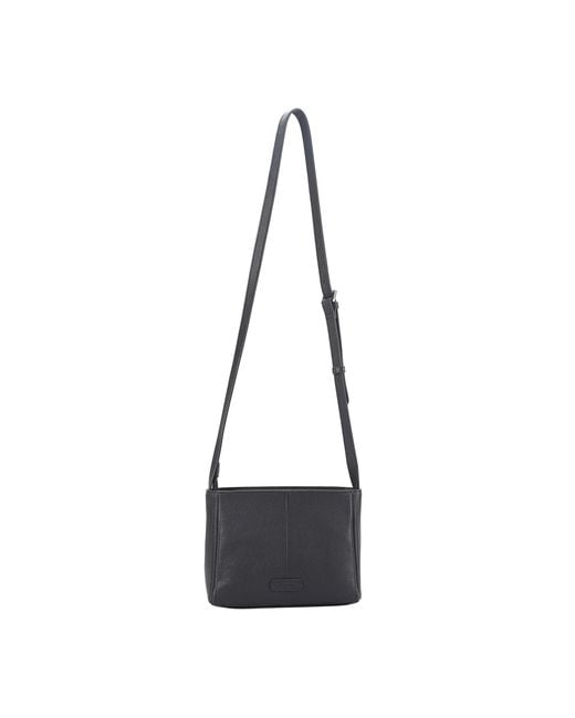 Lloyd Baker Black Primrose