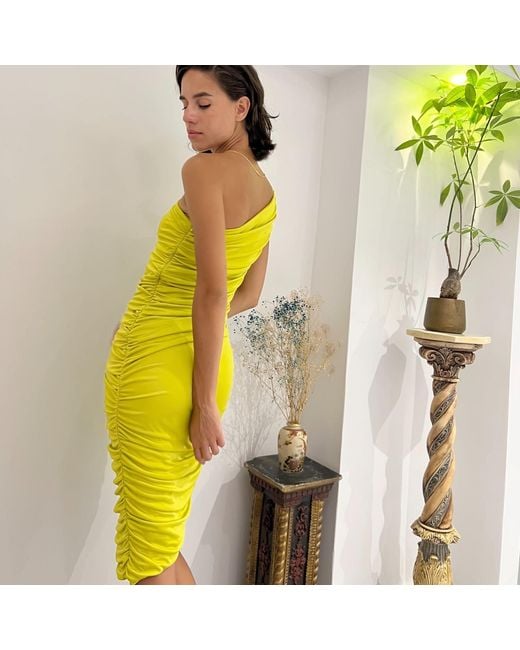 Roses Are Red Yellow Jena Dress