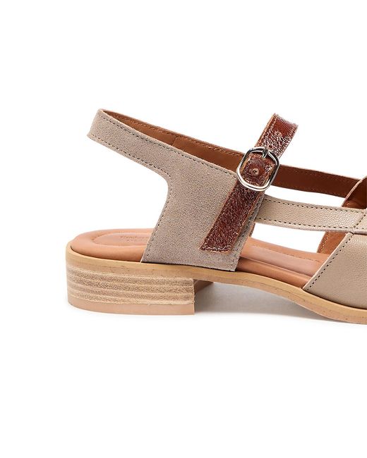 Naguisa Brown Neutrals Manto Taupe Gloss