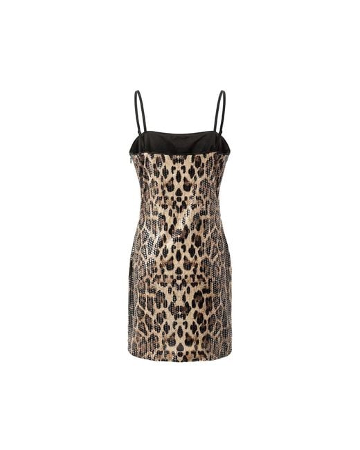 Aisl Brown Leopard Sequin Slip Mini Dress