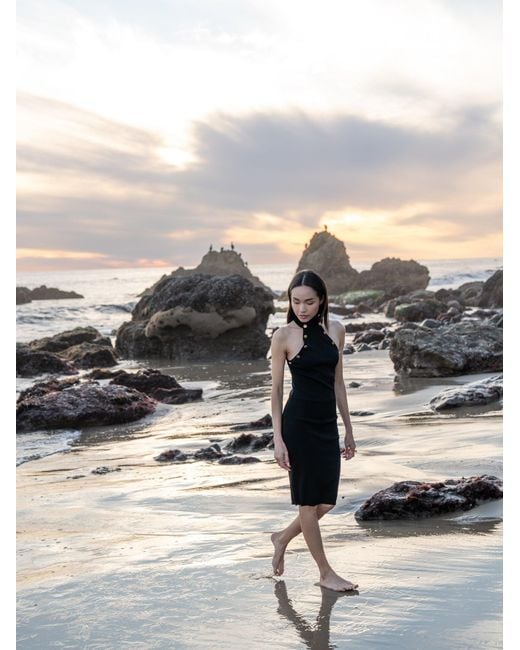 Catnip and Seaweed Blue The Little Midi Dress