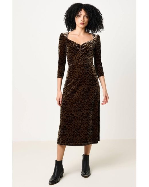 Louche Black Neutrals Ambrose Velvet Roar Midi Dress