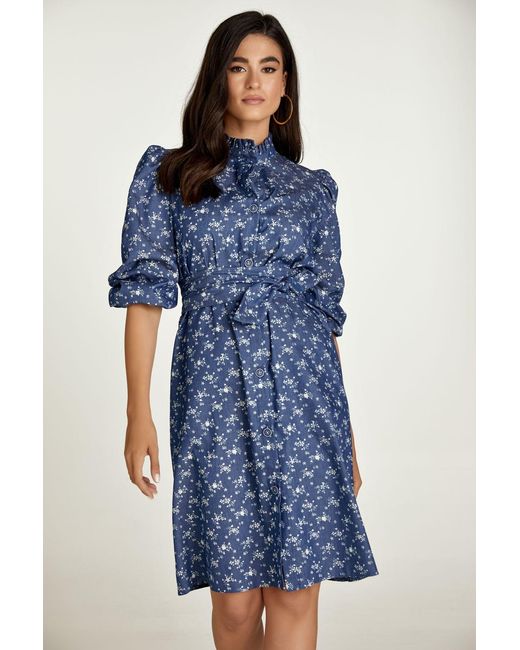 Conquista Blue Floral Long Sleeve Dress
