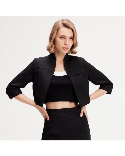 Smart and Joy Blue Minimalist Crop Jacket