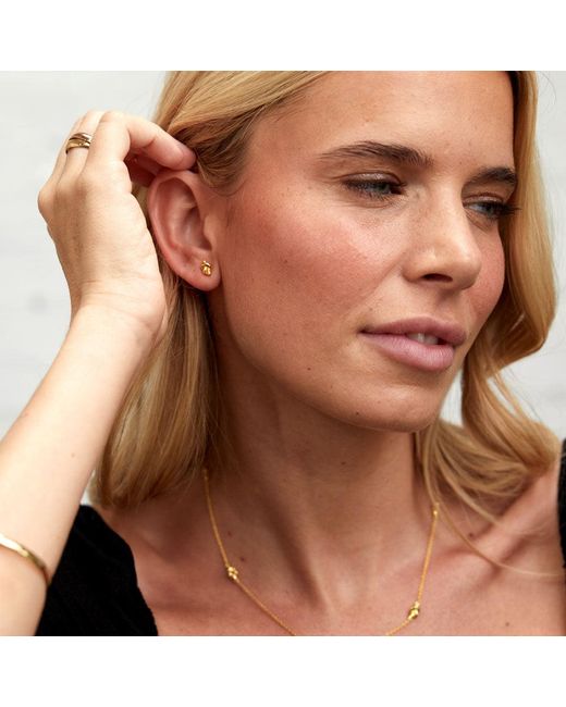 Auree Jewellery Metallic St Ives Vermeil Knot Stud Earrings