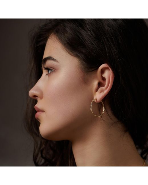 Janus Edinburgh Metallic Cairn Gorm Vermeil Sterling Hoop Hammered Earrings