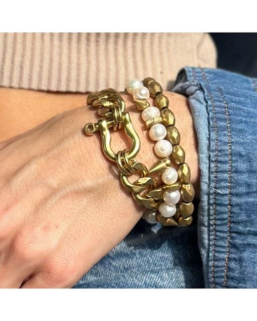 Rachel Nathan Metallic Chain: Classic Shackle Bracelet