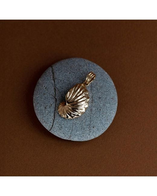 Zoe & Morgan Metallic Paper Nautilus Charm