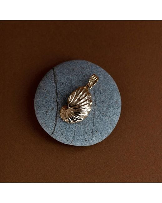 Zoe & Morgan Metallic Paper Nautilus Charm