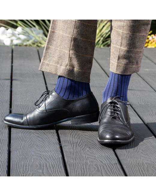 Peper Harow - Made in England Blue Three Pack Essential Socks for men