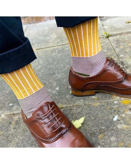 Peper Harow - Made in England White Mustard Oxford Stripe & Lux Taylor Socks Two Pack for men