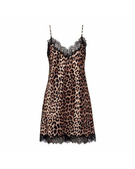 SAINTED SISTERS Brown Scarlett Animal Chemise