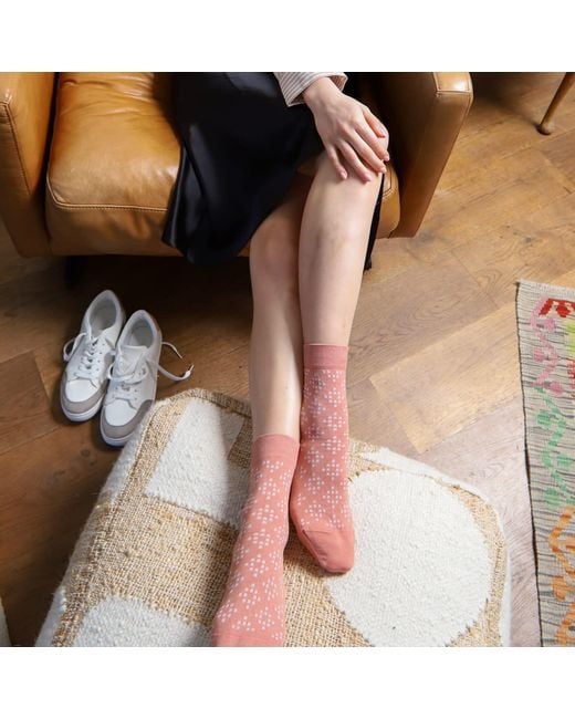 Peper Harow - Made in England Red Soho Socks Bundle
