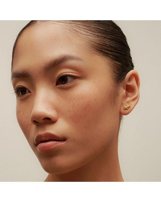 EVA REMENYI Metallic Céleste Deux Caviar Stud Earrings