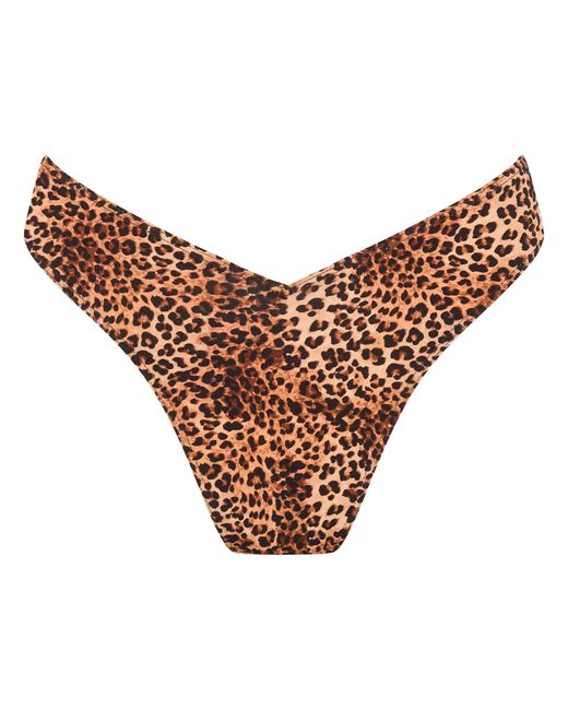 Soleil State Orange Sunseeker Leopard