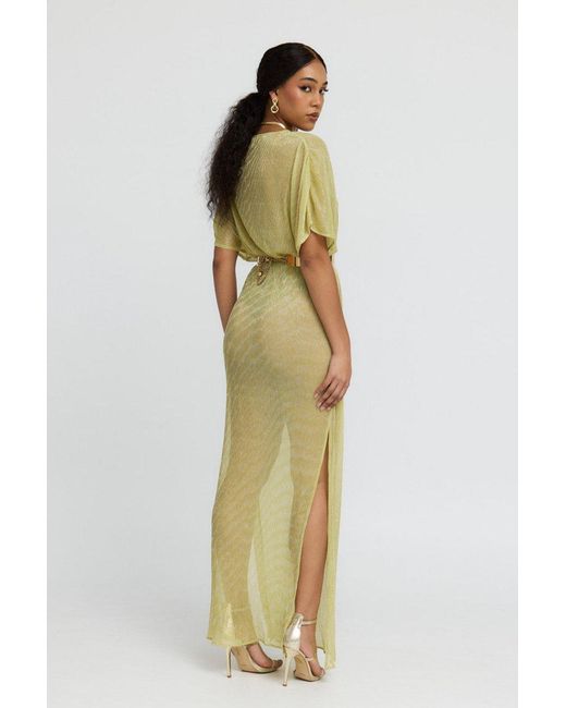 Why Mary Green Aphrodite Sheer Lurex Maxi Dress