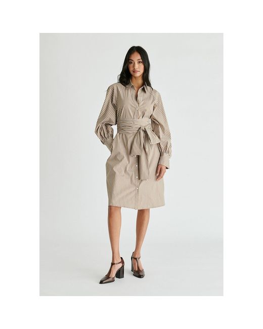 Paisie Natural Neutrals Striped Volume Sleeve Shirt Dress With Matching Tie Belt