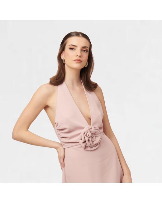 Nanas Pink Neutrals / Rose Mini Dress