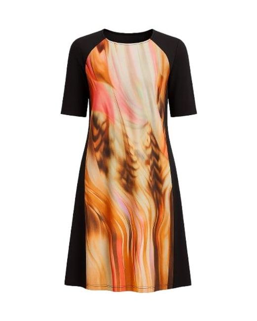 Conquista Orange Animal Print A Line Dress