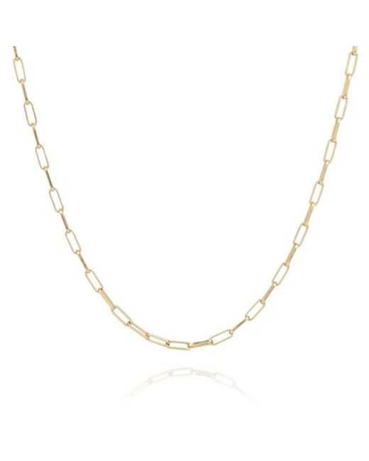 Coco & Kinney Metallic Long Robin Chain In Gold