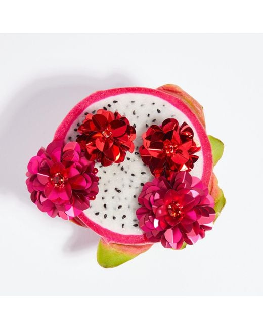 PINAR OZEVLAT Red Blossom Drops & Geranium