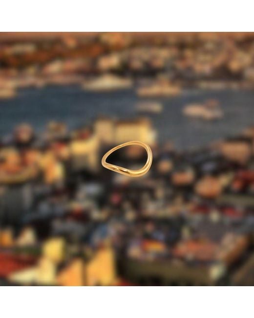 1610Istanbul Metallic Golden Horn Minimalist Ring