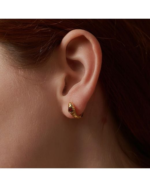 Janus Edinburgh Metallic Cobra Vermeil Garnet Earrings
