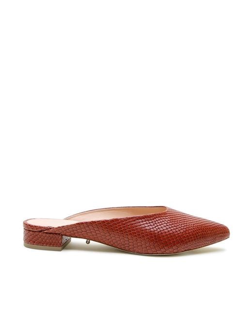 Alterre Red Snake Amal Point Slide