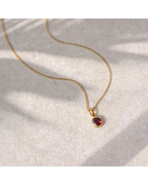 Charlotte's Web Jewellery Metallic January Birthstone Charm Necklace
