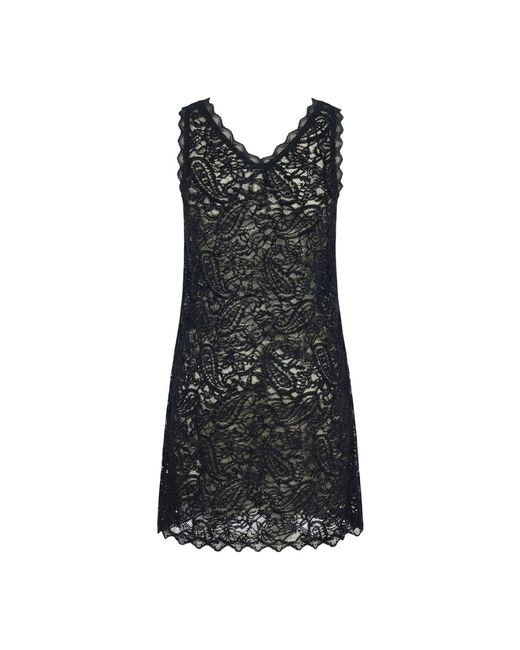 Modenaire Black Scalloped Lace Mini Dress