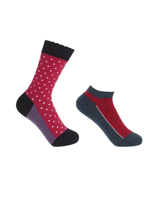 Peper Harow - Made in England Pink Pin Polka Burgundy Luxury Crew & Denim Trainer Socks Bundle