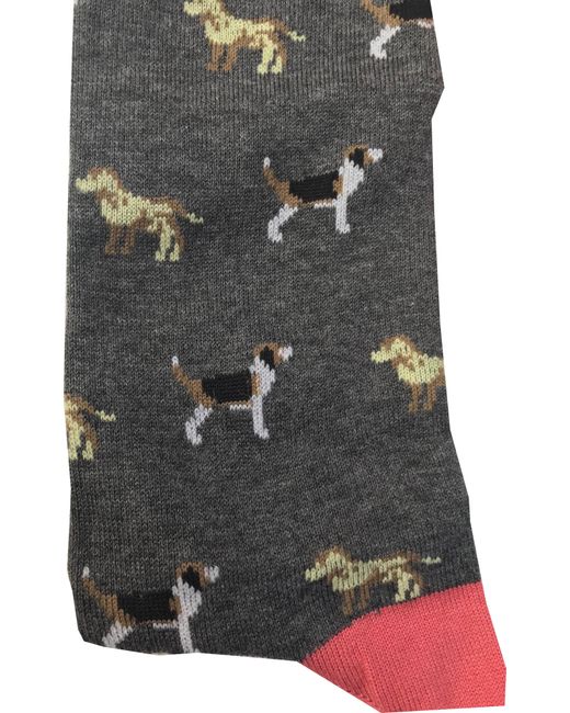 Lazyjack Press Gray Hair Of The Dog Socks for men