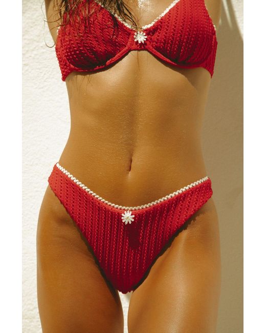 Wild Lovers Red Chilli Bikini Bottoms