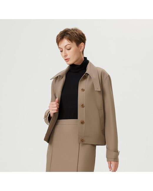 Smart and Joy Gray Buttoned Collar Short Jacket