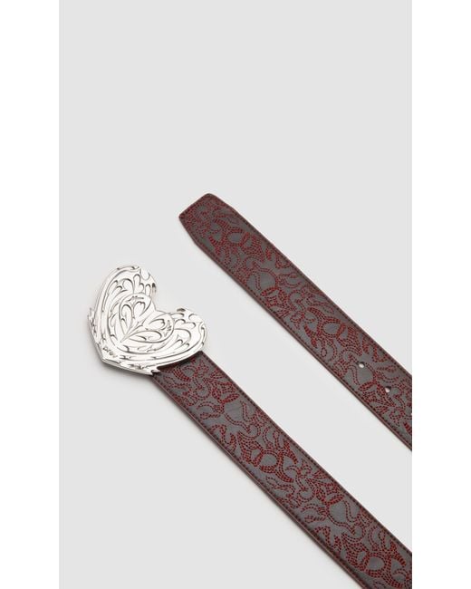 PREVU Brown Regan Belt