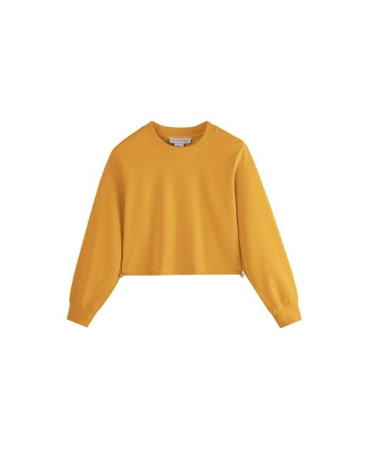 Supesu Yellow Cubby Sweater, Cropped