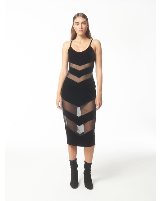 Sour Figs Black Contrast Tulle & Velvet Panel Midi Dress