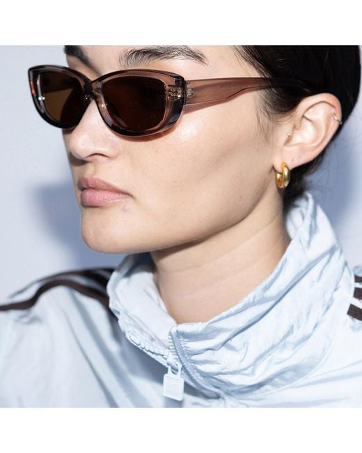Reality Eyewear Brown Odele