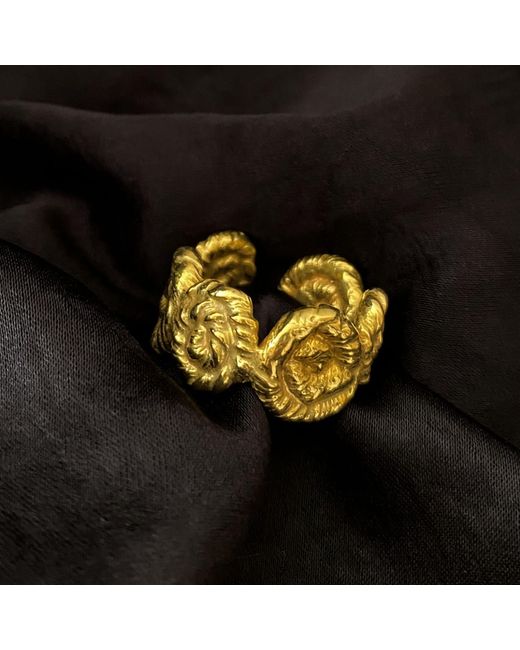 EVA REMENYI Metallic Nautilus Chunky Ring