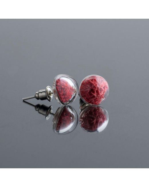 My Little Nature Red Stud Earrings With Natural Moss